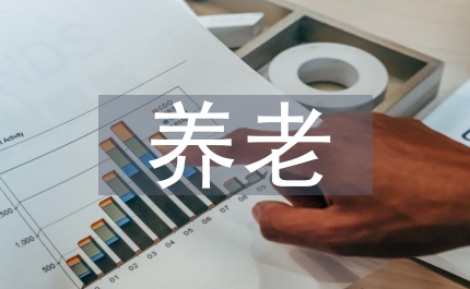 養(yǎng)老補(bǔ)貼策略