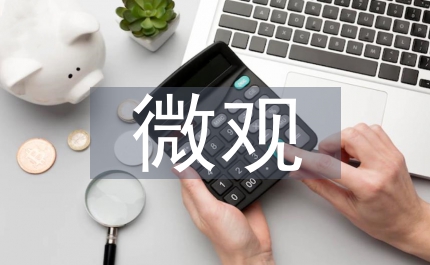 微觀基礎(chǔ)問題經(jīng)濟(jì)學(xué)論文