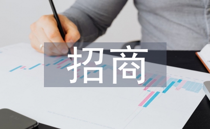 招商重點工作思路