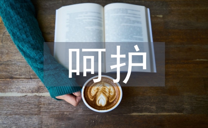 院內(nèi)婦產(chǎn)科呵護(hù)工作的總結(jié)小結(jié)