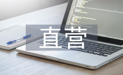 直營連鎖企業(yè)電子商務(wù)論文