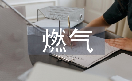 燃?xì)饨?jīng)營(yíng)企業(yè)投資風(fēng)險(xiǎn)與應(yīng)對(duì)策略