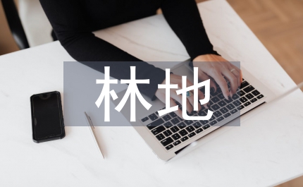 加強林地保護管理工作意見
