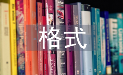 管理辦法格式