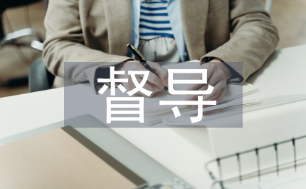督導掛牌督學工作計劃