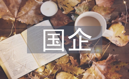 國企公共經(jīng)濟學(xué)論文