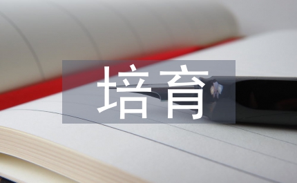 核心價值觀培育民營企業(yè)論文