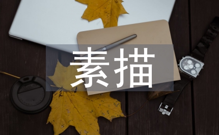 美術(shù)高考素描藝術(shù)