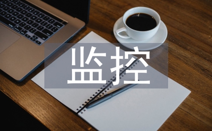 企業(yè)財務(wù)出資人監(jiān)控
