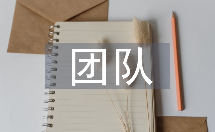 團隊協(xié)作能力