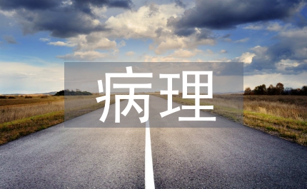 病理科主任述職報(bào)告