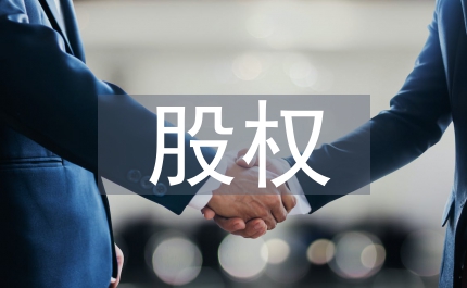 股權(quán)激勵股權(quán)策劃方案
