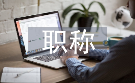 職稱見習(xí)期工作總結(jié)