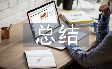 年中執(zhí)法總結(jié)